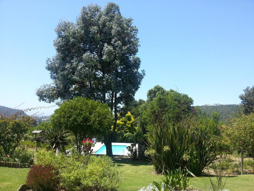 Piesang Valley Hospedaje Plettenberg Bay Habitación foto